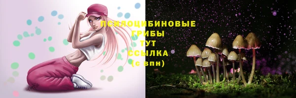 стаф Мегион