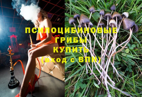 mdpv Магас