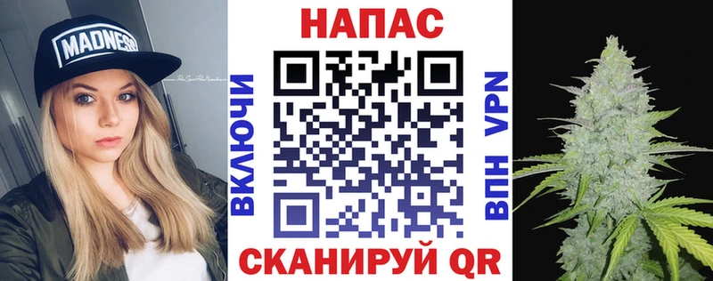 как найти   Ладушкин  Шишки марихуана ГИДРОПОН 